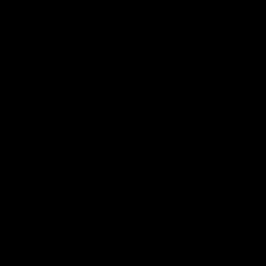 Meet your Posher, Manuel